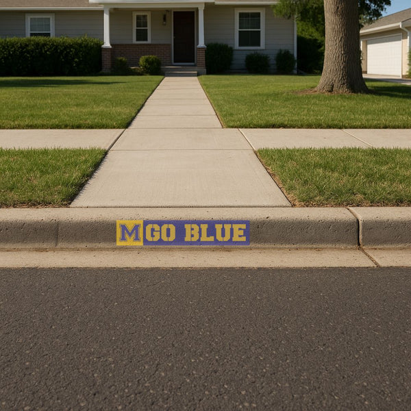 Stenciled 'M GO BLUE' on a residential curb with a sidewalk in front of a house.